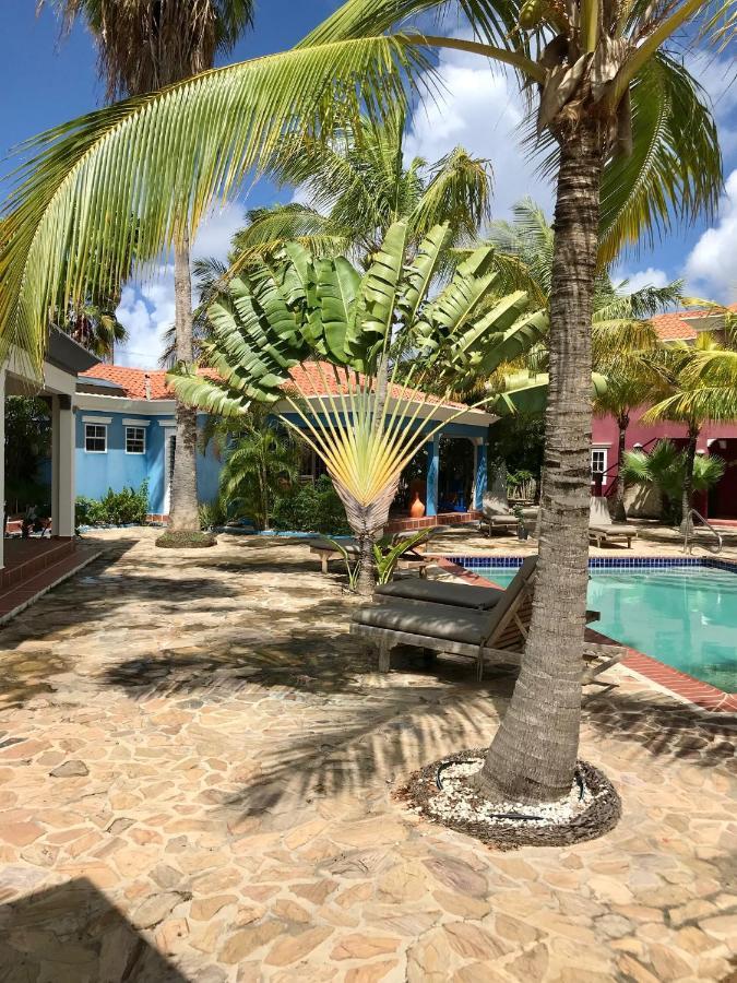 Villa Perla Due Playa Extérieur photo